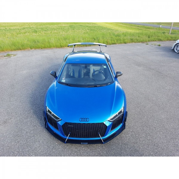 Heck Spoiler Dachspoiler AUDI R8 MK2 DTM LOOK